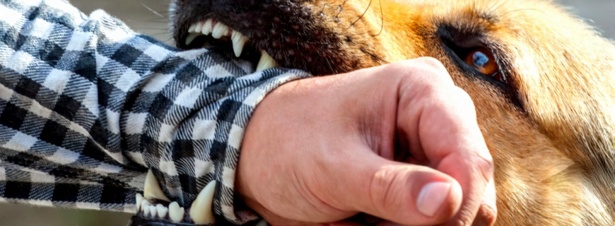 enbgfv37nnrmr0cvqq5vvbgx1c